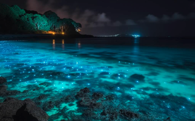 Sea of Stars Maldives