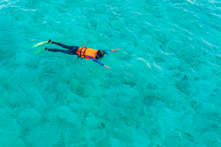 Ideal Diving and Snorkelling Conditions